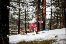 25.03.2023, Lahti, Finland (FIN): Maciej Starega (POL) - FIS world cup cross-country, individual sprint, Lahti (FIN). www.nordicfocus.com. © Modica/NordicFocus. Every downloaded picture is fee-liable.