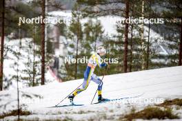 25.03.2023, Lahti, Finland (FIN): Maja Dahlqvist (SWE) - FIS world cup cross-country, individual sprint, Lahti (FIN). www.nordicfocus.com. © Modica/NordicFocus. Every downloaded picture is fee-liable.