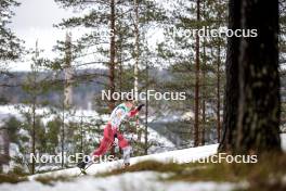 25.03.2023, Lahti, Finland (FIN): Lukas Mrkonjic (AUT) - FIS world cup cross-country, individual sprint, Lahti (FIN). www.nordicfocus.com. © Modica/NordicFocus. Every downloaded picture is fee-liable.