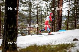 25.03.2023, Lahti, Finland (FIN): Ansgar Evensen (NOR) - FIS world cup cross-country, individual sprint, Lahti (FIN). www.nordicfocus.com. © Modica/NordicFocus. Every downloaded picture is fee-liable.