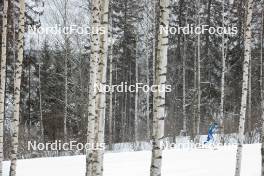 26.03.2023, Lahti, Finland (FIN): Tiia Olkkonen (FIN) - FIS world cup cross-country, mass, Lahti (FIN). www.nordicfocus.com. © Modica/NordicFocus. Every downloaded picture is fee-liable.