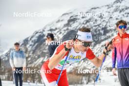 02.04.2023, Bessans, France (FRA): Ugo Zanellato (FRA) - French Championships cross-country, relay, Bessans (FRA). www.nordicfocus.com. © Authamayou/NordicFocus. Every downloaded picture is fee-liable.