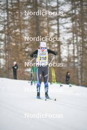 31.03.2023, Bessans, France (FRA): Ninon  Philip (Fra) - French Championships cross-country, sprint, Bessans (FRA). www.nordicfocus.com. © Authamayou/NordicFocus. Every downloaded picture is fee-liable.