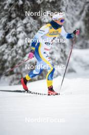 24.11.2023, Ruka, Finland (FIN): Johanna Hagstroem (SWE) - FIS world cup cross-country, individual sprint, Ruka (FIN). www.nordicfocus.com. © Modica/NordicFocus. Every downloaded picture is fee-liable.