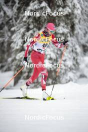 24.11.2023, Ruka, Finland (FIN): Teresa Stadlober (AUT) - FIS world cup cross-country, individual sprint, Ruka (FIN). www.nordicfocus.com. © Modica/NordicFocus. Every downloaded picture is fee-liable.
