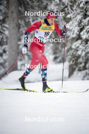 24.11.2023, Ruka, Finland (FIN): Kristine Stavaas Skistad (NOR) - FIS world cup cross-country, individual sprint, Ruka (FIN). www.nordicfocus.com. © Modica/NordicFocus. Every downloaded picture is fee-liable.