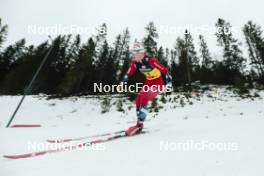 17.12.2023, Trondheim, Norway (NOR): Hedda Oestberg Amundsen (NOR) - FIS world cup cross-country, 10km, Trondheim (NOR). www.nordicfocus.com. © Modica/NordicFocus. Every downloaded picture is fee-liable.