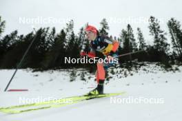 17.12.2023, Trondheim, Norway (NOR): Patricija Eiduka (LAT) - FIS world cup cross-country, 10km, Trondheim (NOR). www.nordicfocus.com. © Modica/NordicFocus. Every downloaded picture is fee-liable.