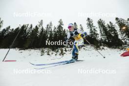 17.12.2023, Trondheim, Norway (NOR): Moa Ilar (SWE) - FIS world cup cross-country, 10km, Trondheim (NOR). www.nordicfocus.com. © Modica/NordicFocus. Every downloaded picture is fee-liable.