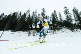 17.12.2023, Trondheim, Norway (NOR): Sofia Henriksson (SWE) - FIS world cup cross-country, 10km, Trondheim (NOR). www.nordicfocus.com. © Modica/NordicFocus. Every downloaded picture is fee-liable.