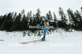17.12.2023, Trondheim, Norway (NOR): Eveliina Piippo (FIN) - FIS world cup cross-country, 10km, Trondheim (NOR). www.nordicfocus.com. © Modica/NordicFocus. Every downloaded picture is fee-liable.