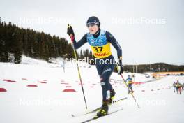 16.12.2023, Trondheim, Norway (NOR): Anna Comarella (ITA) - FIS world cup cross-country, skiathlon, Trondheim (NOR). www.nordicfocus.com. © Modica/NordicFocus. Every downloaded picture is fee-liable.