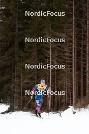 31.12.2023, Toblach, Italy (ITA): Zanden Mcmullen (USA) - FIS world cup cross-country, tour de ski, 10km, Toblach (ITA). www.nordicfocus.com. © Modica/NordicFocus. Every downloaded picture is fee-liable.