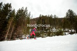 31.12.2023, Toblach, Italy (ITA): Kristin Austgulen Fosnaes (NOR) - FIS world cup cross-country, tour de ski, 10km, Toblach (ITA). www.nordicfocus.com. © Modica/NordicFocus. Every downloaded picture is fee-liable.
