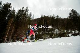31.12.2023, Toblach, Italy (ITA): Giuliana Werro (SUI) - FIS world cup cross-country, tour de ski, 10km, Toblach (ITA). www.nordicfocus.com. © Modica/NordicFocus. Every downloaded picture is fee-liable.