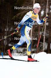 31.12.2023, Toblach, Italy (ITA): Leo Johansson (SWE) - FIS world cup cross-country, tour de ski, 10km, Toblach (ITA). www.nordicfocus.com. © Modica/NordicFocus. Every downloaded picture is fee-liable.