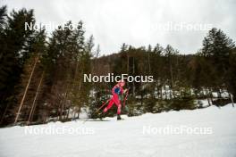 31.12.2023, Toblach, Italy (ITA): Teresa Stadlober (AUT) - FIS world cup cross-country, tour de ski, 10km, Toblach (ITA). www.nordicfocus.com. © Modica/NordicFocus. Every downloaded picture is fee-liable.