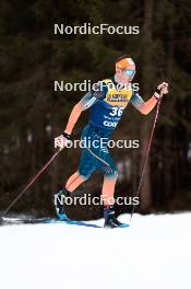 31.12.2023, Toblach, Italy (ITA): Andrew Musgrave (GBR) - FIS world cup cross-country, tour de ski, 10km, Toblach (ITA). www.nordicfocus.com. © Modica/NordicFocus. Every downloaded picture is fee-liable.