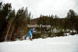 31.12.2023, Toblach, Italy (ITA): Krista Parmakoski (FIN) - FIS world cup cross-country, tour de ski, 10km, Toblach (ITA). www.nordicfocus.com. © Modica/NordicFocus. Every downloaded picture is fee-liable.