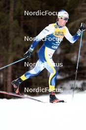 31.12.2023, Toblach, Italy (ITA): Calle Halfvarsson (SWE) - FIS world cup cross-country, tour de ski, 10km, Toblach (ITA). www.nordicfocus.com. © Modica/NordicFocus. Every downloaded picture is fee-liable.