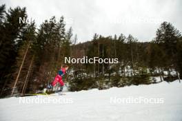 31.12.2023, Toblach, Italy (ITA): Lotta Udnes Weng (NOR) - FIS world cup cross-country, tour de ski, 10km, Toblach (ITA). www.nordicfocus.com. © Modica/NordicFocus. Every downloaded picture is fee-liable.