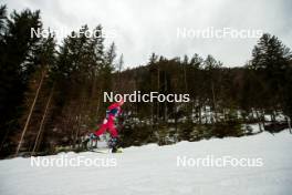31.12.2023, Toblach, Italy (ITA): Kristine Stavaas Skistad (NOR) - FIS world cup cross-country, tour de ski, 10km, Toblach (ITA). www.nordicfocus.com. © Modica/NordicFocus. Every downloaded picture is fee-liable.