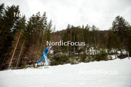 31.12.2023, Toblach, Italy (ITA): Anne Kyllonen (FIN) - FIS world cup cross-country, tour de ski, 10km, Toblach (ITA). www.nordicfocus.com. © Modica/NordicFocus. Every downloaded picture is fee-liable.