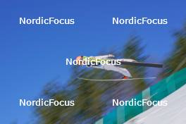 18.03.2023, Vikersund, Norway (NOR): Jan Hoerl (AUT) - FIS world cup ski flying men, individual HS240, Vikersund (NOR). www.nordicfocus.com. © Thibaut/NordicFocus. Every downloaded picture is fee-liable.