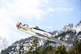 01.04.2023, Planica, Slovenia (SLO): Stefan Kraft (AUT) - FIS world cup ski flying men, team HS240, Planica (SLO). www.nordicfocus.com. © Reichert/NordicFocus. Every downloaded picture is fee-liable.