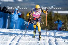 19.02.2023, Groenklitt, Sweden (SWE): Amund Riege (NOR) - Ski Classics ITT Orsa Groenklitt - Groenklitt (SWE). www.nordicfocus.com. © Thibaut/NordicFocus. Every downloaded picture is fee-liable.