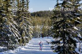 19.02.2023, Groenklitt, Sweden (SWE): Einar Kalland-Olsen (NOR) - Ski Classics ITT Orsa Groenklitt - Groenklitt (SWE). www.nordicfocus.com. © Thibaut/NordicFocus. Every downloaded picture is fee-liable.