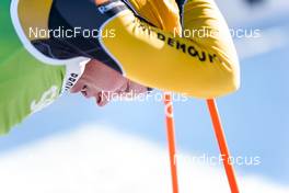 19.02.2023, Groenklitt, Sweden (SWE): Alfred Buskqvist (SWE) - Ski Classics ITT Orsa Groenklitt - Groenklitt (SWE). www.nordicfocus.com. © Thibaut/NordicFocus. Every downloaded picture is fee-liable.
