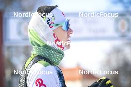 05.03.2023, Saelen-Mora, Sweden (SWE): Vaclav Sedlacek (CZE) - Ski Classics Vasaloppet, Saelen-Mora (SWE). www.nordicfocus.com. © Reichert/NordicFocus. Every downloaded picture is fee-liable.