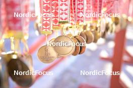 04.03.2023, Saelen-Mora, Sweden (SWE): feature: medals, Vasaloppet 10km - Ski Classics Vasaloppet, Saelen-Mora (SWE). www.nordicfocus.com. © Reichert/NordicFocus. Every downloaded picture is fee-liable.