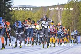 05.03.2023, Saelen-Mora, Sweden (SWE): Runar Skaug Mathisen (NOR), Max Novak (SWE), Torleif Syrstad (NOR), Amund Riege (NOR), (l-r) - Ski Classics Vasaloppet, Saelen-Mora (SWE). www.nordicfocus.com. © Reichert/NordicFocus. Every downloaded picture is fee-liable.
