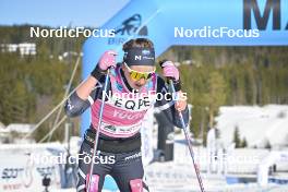 18.03.2023, Rena-Lillehammer, Norway (NOR): Karolina Hedenstroem (SWE) - Ski Classics Birkebeinerrennet, Rena-Lillehammer (NOR). www.nordicfocus.com. © Reichert/NordicFocus. Every downloaded picture is fee-liable.