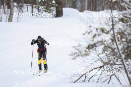 31.03.2023, Setermoen-Bardufoss, Norway (NOR): Ida Dahl (SWE) - Ski Classics Reistadlopet, Setermoen-Bardufoss (NOR). www.nordicfocus.com. © Manzoni/NordicFocus. Every downloaded picture is fee-liable.