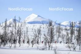 02.04.2023, Bardufoss-Finnsnes, Norway (NOR): Emil Persson (SWE), Martin Loewstroem Nyenget (NOR), Petter Stakston (NOR), Amund Riege (NOR), Herman Paus (NOR), Runar Skaug Mathisen (NOR), Max Novak (SWE), (l-r) - Ski Classics Summit 2 Senja, Bardufoss-Finnsnes (NOR). www.nordicfocus.com. © Manzoni/NordicFocus. Every downloaded picture is fee-liable.