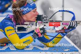 07.01.2024, Oberhof, Germany (GER): Hanna Oeberg (SWE) - IBU World Cup Biathlon, relay women, Oberhof (GER). www.nordicfocus.com. © Thibaut/NordicFocus. Every downloaded picture is fee-liable.