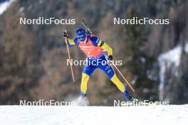 21.01.2024, Antholz, Italy (ITA): Martin Ponsiluoma (SWE) - IBU World Cup Biathlon, mass men, Antholz (ITA). www.nordicfocus.com. © Manzoni/NordicFocus. Every downloaded picture is fee-liable.