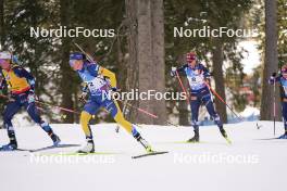21.01.2024, Antholz, Italy (ITA): Hanna Oeberg (SWE) - IBU World Cup Biathlon, mass women, Antholz (ITA). www.nordicfocus.com. © Thibaut/NordicFocus. Every downloaded picture is fee-liable.