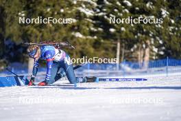 20.01.2024, Antholz, Italy (ITA): Kelsey Joan Dickinson (USA) - IBU World Cup Biathlon, mixed relay, Antholz (ITA). www.nordicfocus.com. © Thibaut/NordicFocus. Every downloaded picture is fee-liable.