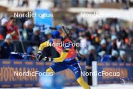10.03.2024, Soldier Hollow, United States of America (USA): Sebastian Samuelsson (SWE) - IBU World Cup Biathlon, pursuit men, Soldier Hollow (USA). www.nordicfocus.com. © Manzoni/NordicFocus. Every downloaded picture is fee-liable.
