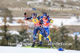 10.03.2024, Soldier Hollow, United States of America (USA): Johannes Thingnes Boe (NOR), Martin Ponsiluoma (SWE), (l-r) - IBU World Cup Biathlon, pursuit men, Soldier Hollow (USA). www.nordicfocus.com. © Manzoni/NordicFocus. Every downloaded picture is fee-liable.