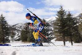 08.03.2024, Soldier Hollow, United States of America (USA): Jesper Nelin (SWE) - IBU World Cup Biathlon, relay men, Soldier Hollow (USA). www.nordicfocus.com. © Manzoni/NordicFocus. Every downloaded picture is fee-liable.