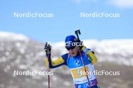 08.03.2024, Soldier Hollow, United States of America (USA): Sebastian Samuelsson (SWE) - IBU World Cup Biathlon, relay men, Soldier Hollow (USA). www.nordicfocus.com. © Manzoni/NordicFocus. Every downloaded picture is fee-liable.