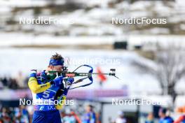 08.03.2024, Soldier Hollow, United States of America (USA): Martin Ponsiluoma (SWE) - IBU World Cup Biathlon, relay men, Soldier Hollow (USA). www.nordicfocus.com. © Manzoni/NordicFocus. Every downloaded picture is fee-liable.