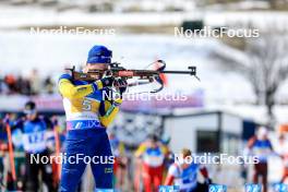 08.03.2024, Soldier Hollow, United States of America (USA): Sebastian Samuelsson (SWE) - IBU World Cup Biathlon, relay men, Soldier Hollow (USA). www.nordicfocus.com. © Manzoni/NordicFocus. Every downloaded picture is fee-liable.
