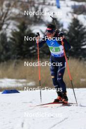 08.03.2024, Soldier Hollow, United States of America (USA): Tommaso Giacomel (ITA) - IBU World Cup Biathlon, relay men, Soldier Hollow (USA). www.nordicfocus.com. © Manzoni/NordicFocus. Every downloaded picture is fee-liable.