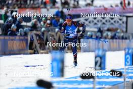 08.03.2024, Soldier Hollow, United States of America (USA): Antonin Guigonnat (FRA) - IBU World Cup Biathlon, relay men, Soldier Hollow (USA). www.nordicfocus.com. © Manzoni/NordicFocus. Every downloaded picture is fee-liable.